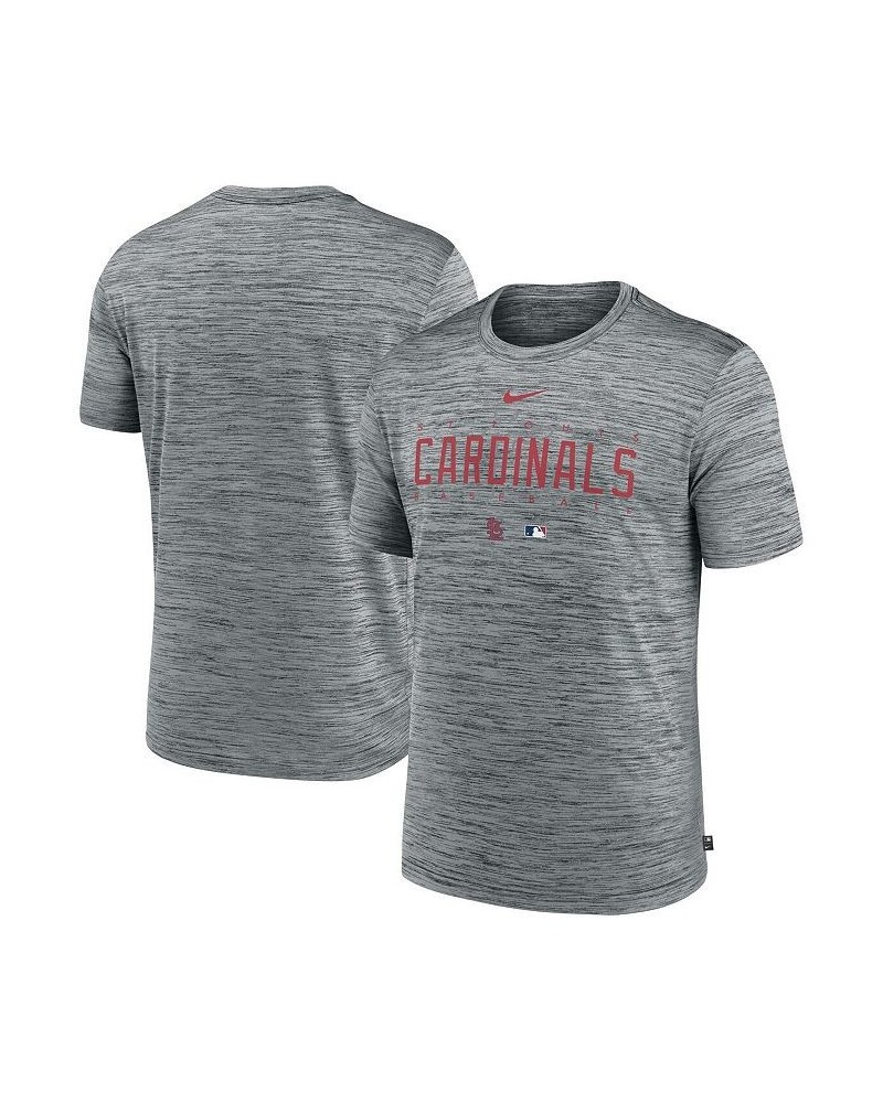 Men's Heather Gray St. Louis Cardinals Authentic Collection Velocity Performance Practice T-shirt $23.50 T-Shirts