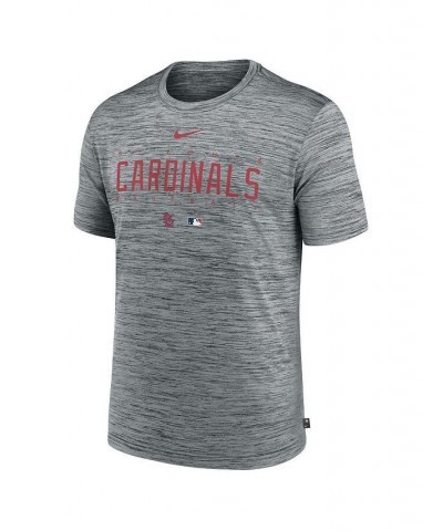 Men's Heather Gray St. Louis Cardinals Authentic Collection Velocity Performance Practice T-shirt $23.50 T-Shirts